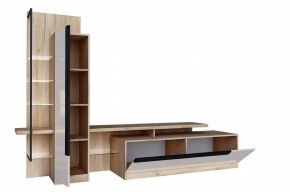 Тумба под ТВ Кёльн ЛД 674.010.000 в Екатеринбурге - ok-mebel.com | фото 2