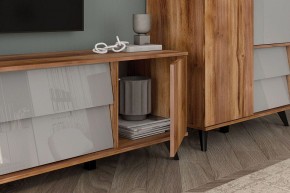 Тумба под ТВ Онтарио 474.03 в Екатеринбурге - ok-mebel.com | фото 4
