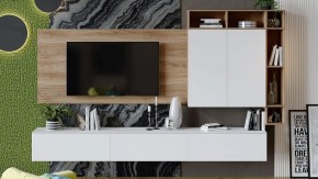 Тумба под ТВ Порто ТД-393.03.12 в Екатеринбурге - ok-mebel.com | фото 6