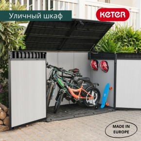 Ящик-шкаф Премьер Джамбо (Premiere JUMBO) 2020 л. в Екатеринбурге - ok-mebel.com | фото 5